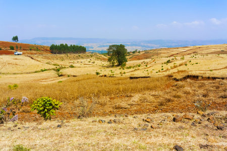 Rural landscape of the farmlands near Amanuel  in Ethiopiaの写真素材