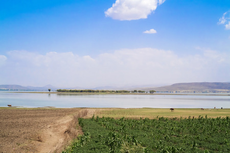 Landscape view at the Lake Koka in Ethiopiaの写真素材