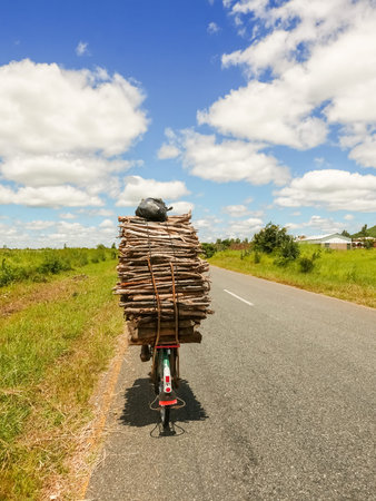 The man on bicycle is carrying wood near Kasungu in Malawiの写真素材