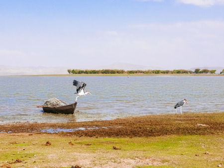 Landscape view at the lake Malawi. Picture was taken at Chitimba beach.の写真素材
