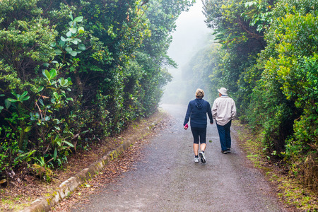San Jose, Costa Rica - November 11, 2016: People walking in the rainforest trail near San Jose, Costa Ricaのeditorial素材