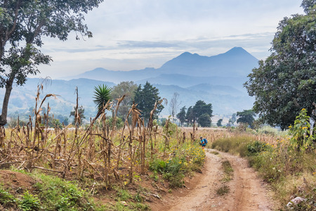 Santa Maria de Jesus, Guatemala - December 5, 2016: Dirt road and the volcanic mountains at the background just outside of the town of Santa Maria de Jesus in Guatemalaのeditorial素材