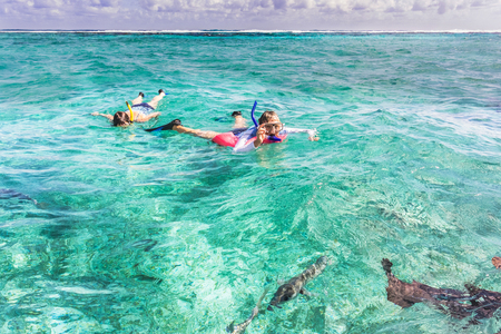 People are snorkeling at the reef near Caye Caulker in Belize. It is a small island near Ambergris Caye. The island is very popular with divers because of its close proximity to the Belize Barrier Reef.のeditorial素材