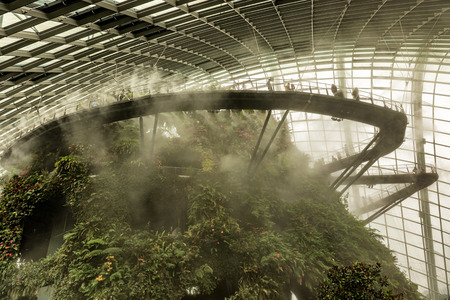 Singapore Jan 11, 2018: Tourists visiting cloud forest dome conservatory at Gardens by the Bay in Singapore. It is artificial mountain under glass roof with plants growingat the slope of the mountain.のeditorial素材
