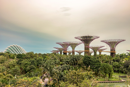 Singapore - Jan 14, 2018: Tourists walking on  platform on Supertree Grove, Vertical gardens resembling towering trees, with canopies and colorful lights at night at Gardens by the Bay in Singapore.のeditorial素材