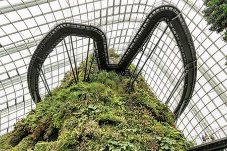 Singapore Jan 11, 2018: Tourists visiting cloud forest dome conservatory at Gardens by the Bay in Singapore. It is artificial mountain under glass roof with plants growingat the slope of the mountain.のeditorial素材