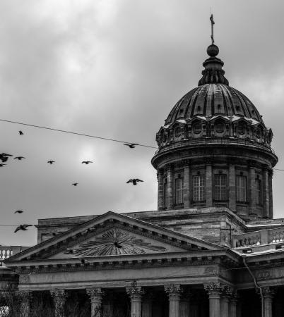Flying doves on the background of the Kazan Cathedralの写真素材