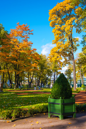 Autumn in the city gardenの写真素材