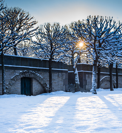 City garden in winter timeの写真素材
