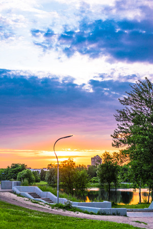 Sunset in the parkの写真素材