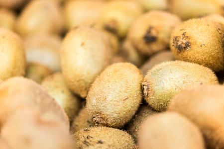 Kiwi fruitの写真素材