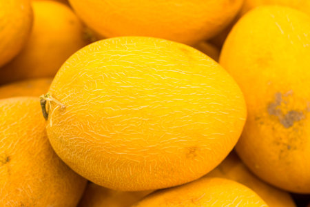 Melonsの写真素材