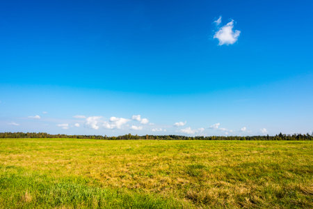 Clouds on the meadowの写真素材