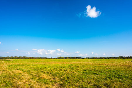 Clouds on the meadowの写真素材