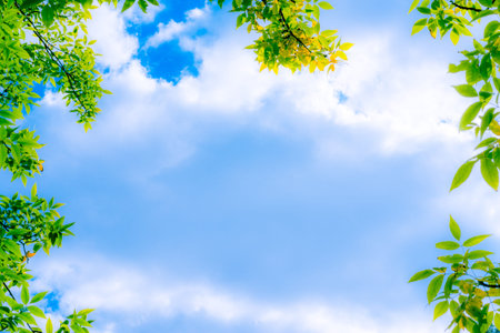 Frame with leaves on a background cloudy sky. Image in blue soft toningの写真素材