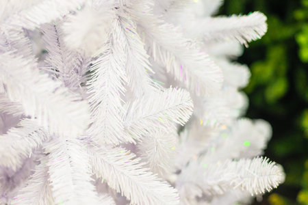 White Christmas treeの写真素材