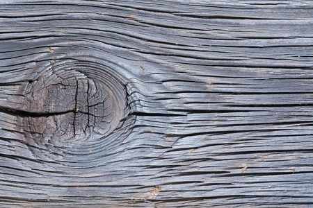 Old eroded oakwood backgroundの写真素材