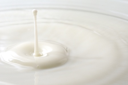 Macro shot of splashing milk droplets. の写真素材
