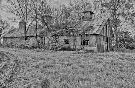 Farm and Barmの写真素材