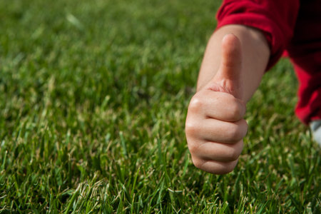 hand in ok sign on green grass background