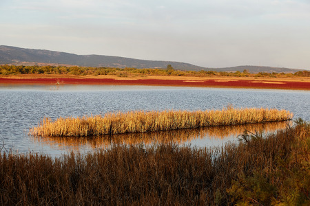 Landscape of Evros river in Greece.の写真素材