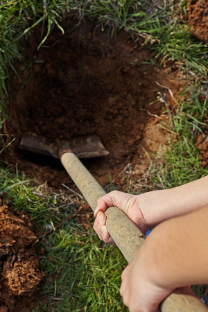 Kid digs with shovel a hole for tree planting.の写真素材