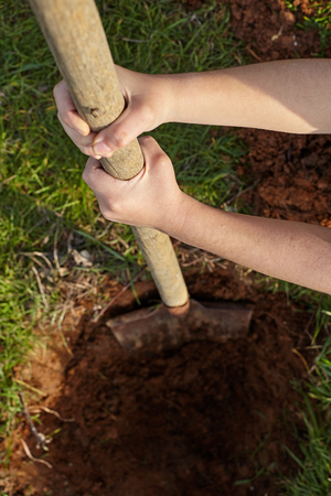 Kid digs with shovel a hole for tree planting.の写真素材