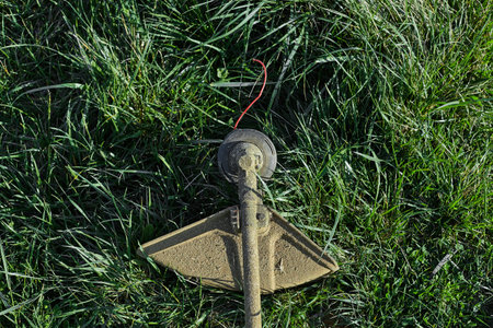 Closeup view of a grass trimmer in garden. 