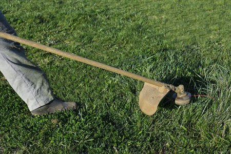 Closeup view of a grass trimmer in garden. 