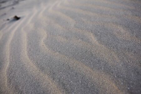 Abstract background.Close up beach texture.Sand.の写真素材