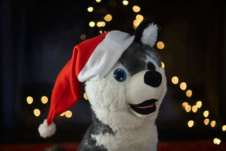 Kid you are playing and making dough.の写真素材