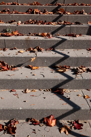 Autumn leaves on concrete stairs with an zig-zag shadow from railingの写真素材