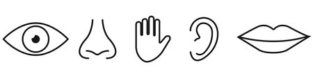 Five senses icon, vector flat collection on white background.のイラスト素材