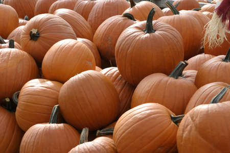 pumpkins for saleの写真素材