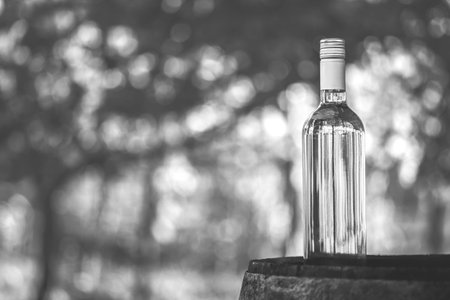 Wine bottle with a blur background in the hungarian vineyard, autum morning. Wine bottle on wooden...
