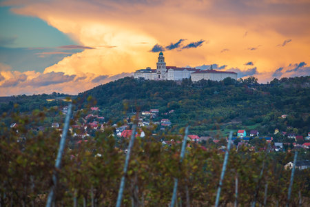 Pannonhalma Archabbey with vine grapes in the vineyard. Beautiful vineyard landscape with cloudy sky in autumn at sunset. Pannonhalma Wine Region, Hungary.の写真素材
