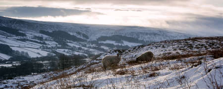 Snow covered North Yorks Moors near to Castleton, UKの写真素材