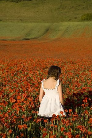 Young girl enjoys glorious field of poppies in English countrysideの写真素材