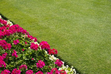 Flower border and lawnの写真素材