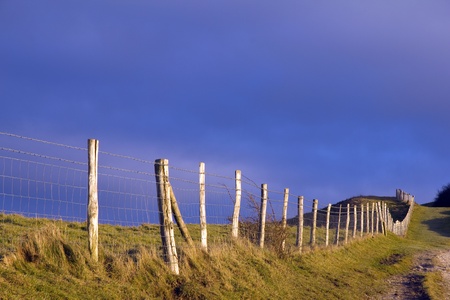 Barbed wire fencingの写真素材