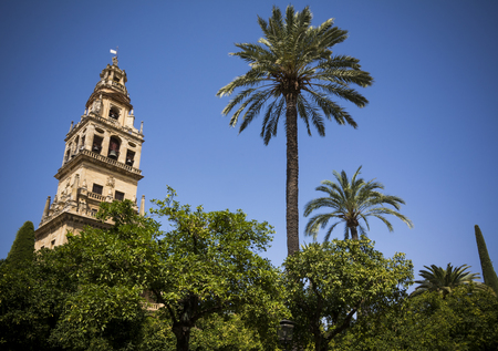 Bell tower from the court of oranges in Cordobaの写真素材