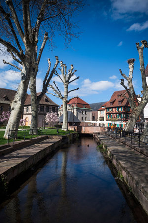 View along waterway in Colmar, Alsaceの写真素材