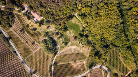 Aerial view of Monte Vendaの写真素材