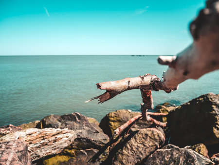 Fishing hook on the shore of the Baltic Sea. Selective focus.の写真素材