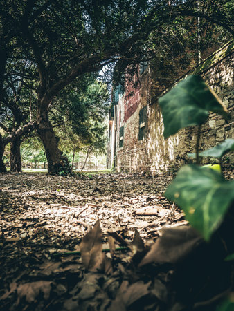Abandoned ruins of old house in the forest - retro vintage effectの写真素材
