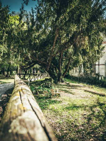 Old wooden bridge in the park. Photo in old color image style.の写真素材