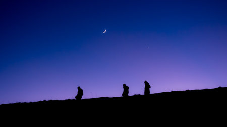 Silhouette of two dogs sitting on the top of a hill and watching the moonの写真素材