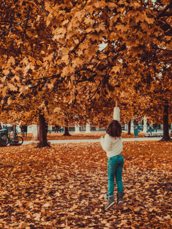 Little girl in the autumn park. Back view of a young girl in a sweater and jeans in the autumn park.の写真素材