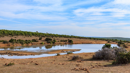 Tiny body of water with cloudy blue skies in Addo South Africaの写真素材