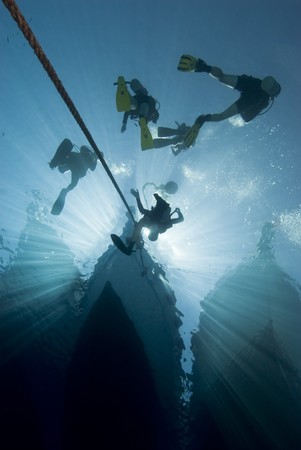 Silhouette shot of scuba divers at the bow of a dive boat. Red Sea, Egypt.の写真素材